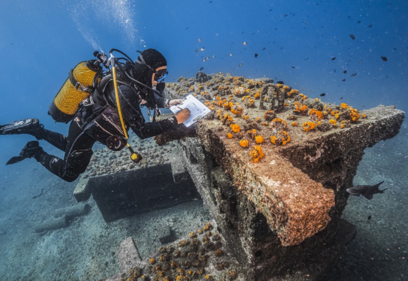 Submarinista escrivint en pissarra mentre observa coralls taronges en plataforma submergida.