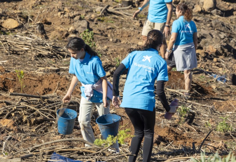 Un grup de voluntaris de CaixaBank realitza tasques de neteja al camp.