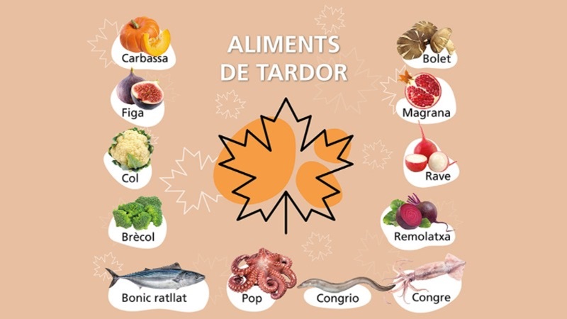 Infografia &ldquo;Aliments de tardor&rdquo; amb il&middot;lustracions de carbassa, figa, col, br&ograve;coli, bolet, magrana, rave, remolatxa i peixos i mariscos com ara bon&iacute;tol ratllat, pop, congre i calamar.
