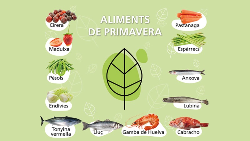 Infografia &ldquo;Aliments de primavera&rdquo; amb il&middot;lustracions de productes com ara: cirera, maduixa, p&egrave;sol, end&iacute;via, pastanaga, esp&agrave;rrec, anxova, llobarro, tonyina vermella, llu&ccedil;, gamba de Huelva i esc&oacute;rpora