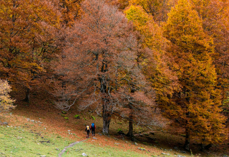 Vall d'Artiga de Lin, Lleida