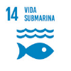 ODS 14: Vida submarina