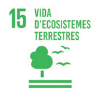 ODS 15: Vida d'ecosistemes terrestres