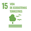 ODS 15: Vida de ecosistemas terrestres
