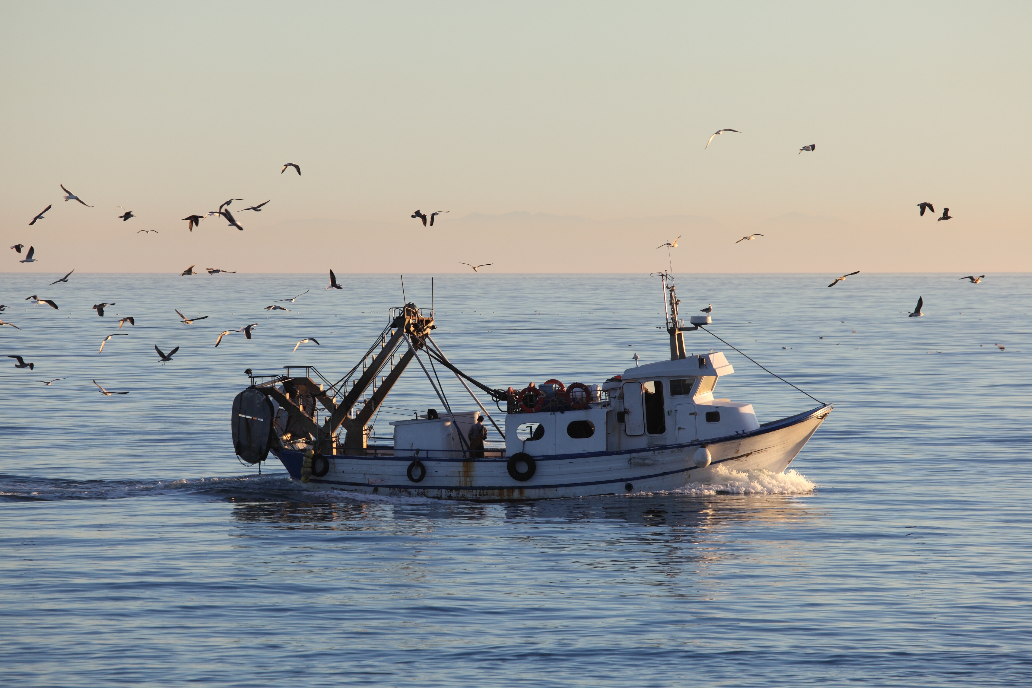 Barco pesquero