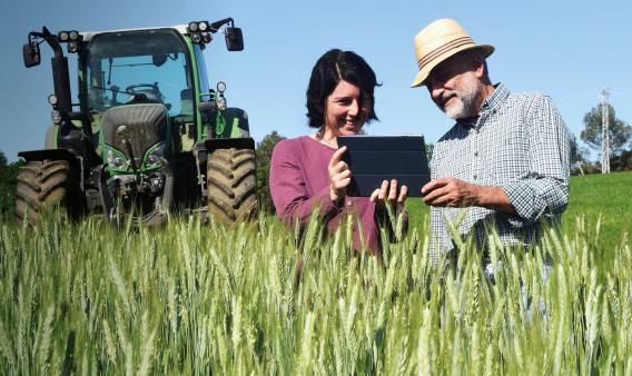 El sector agroalimentario, clave en la economía española durante la pandemia de la COVID-19