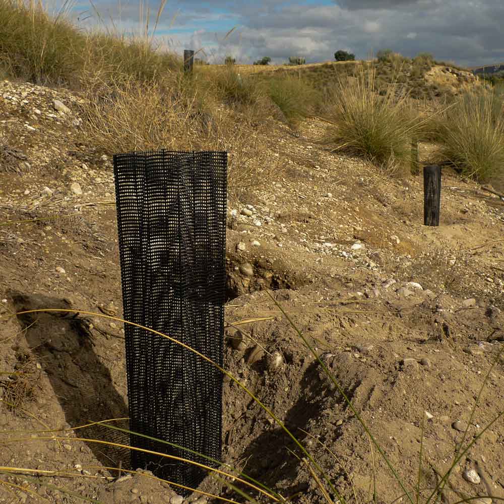 Zona de trabajo de la asociación Reforesta