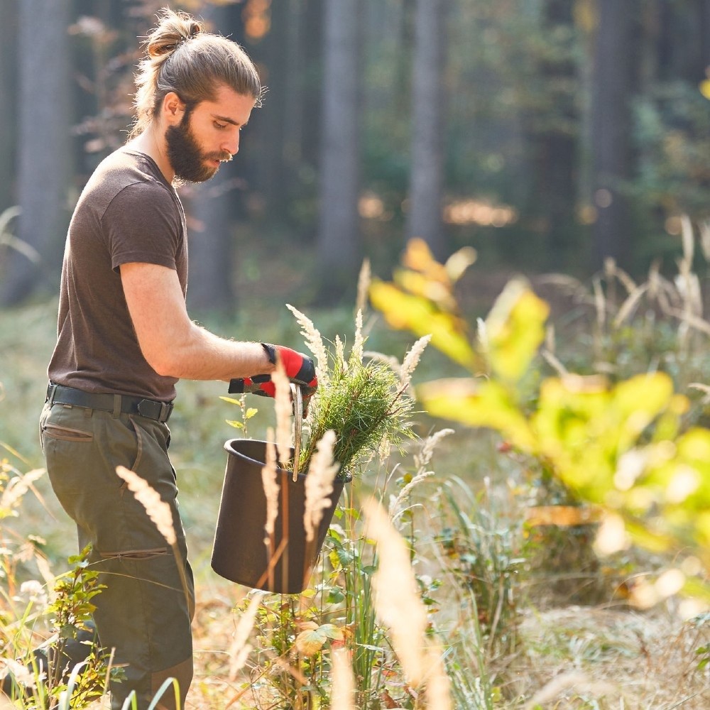 Jove plantant arbres