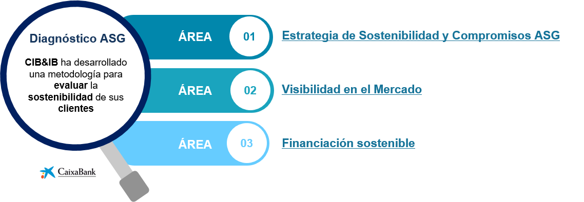 Diagnóstico ASG