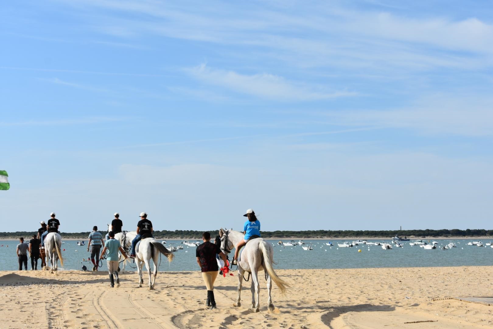 Actividad de voluntariado de CaixaBank con caballos en Salúcar de Barrameda.