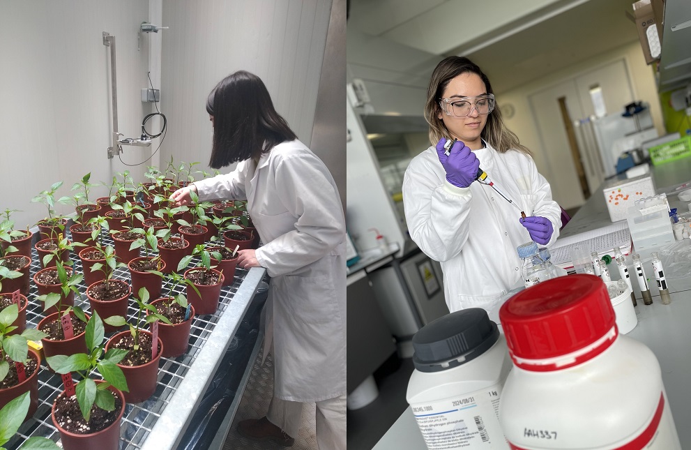 Yaiza Padilla y Nariane Quaresma, finalistas del VIII premio de la Cátedra de AgroBank a la Mejor Tesis Doctoral.