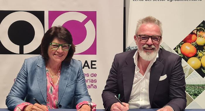 AMCAE y CaixaBank renuevan su compromiso para impulsar la igualdad en el sector cooperativo