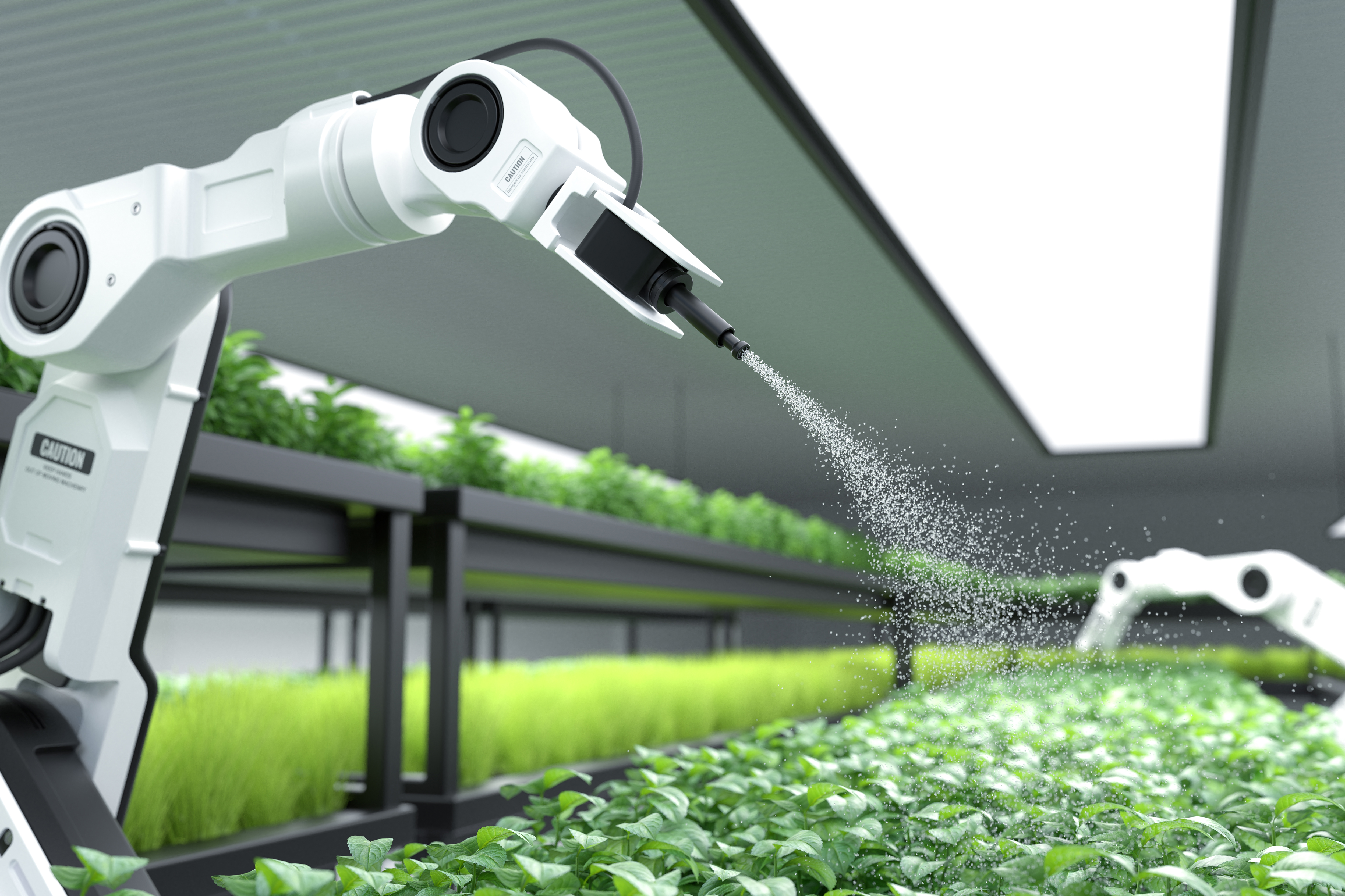 Granger robòtic intel·ligent ruixant fertilitzant en vegetals.