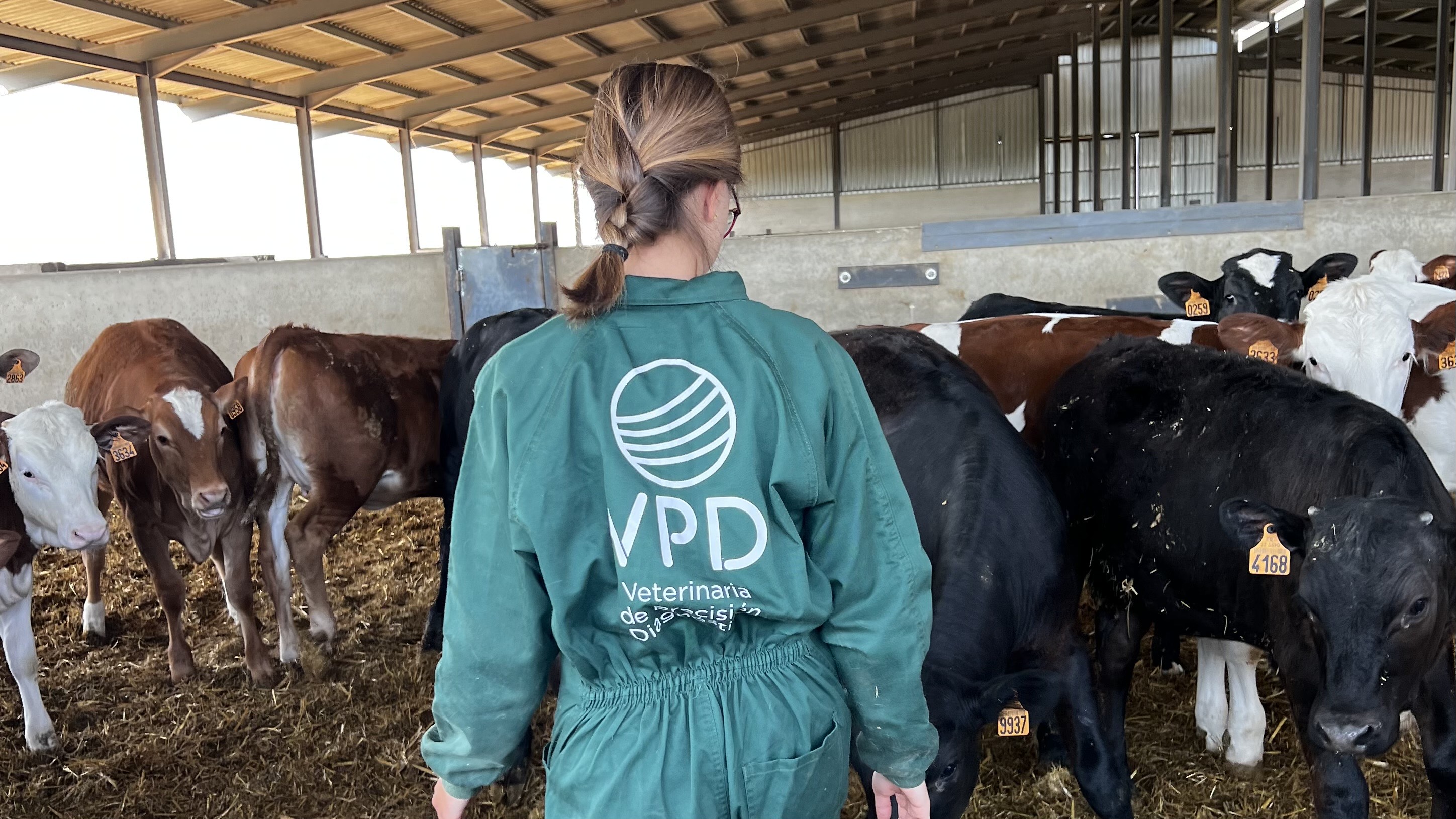 BigGuardian es una de las 15 startups seleccionadas por AgroBank Tech Digital Innovation