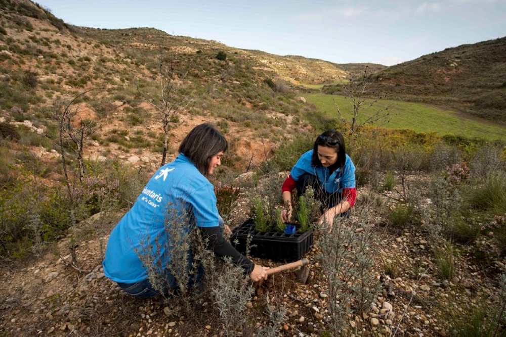 Voluntaris de “la Caixa” treballen en les accions de reforestació impulsades per CaixaBank