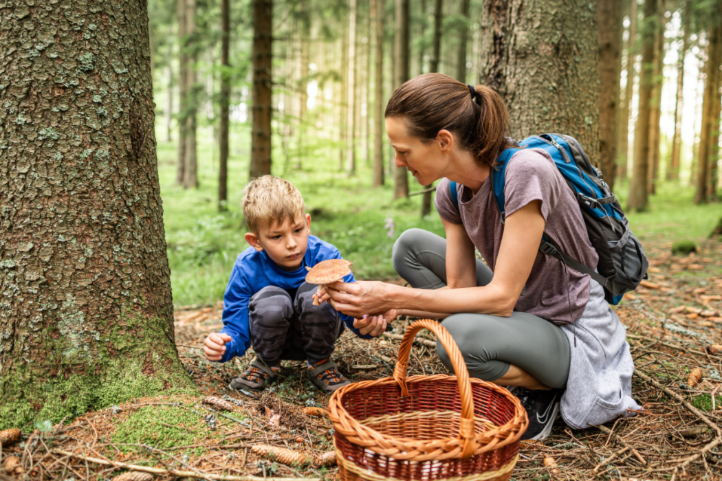 Dona amb un nen petit collint bolets