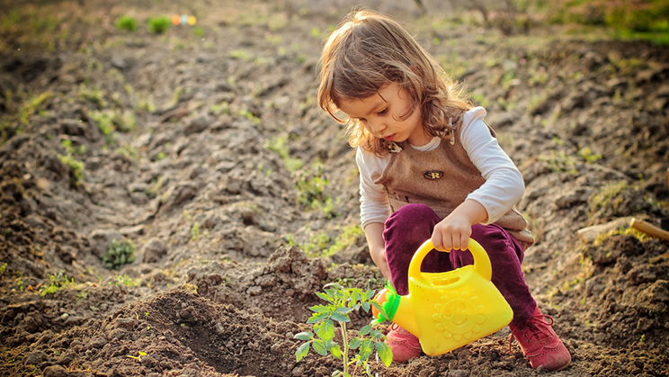 10 años de compromiso con el medioambiente