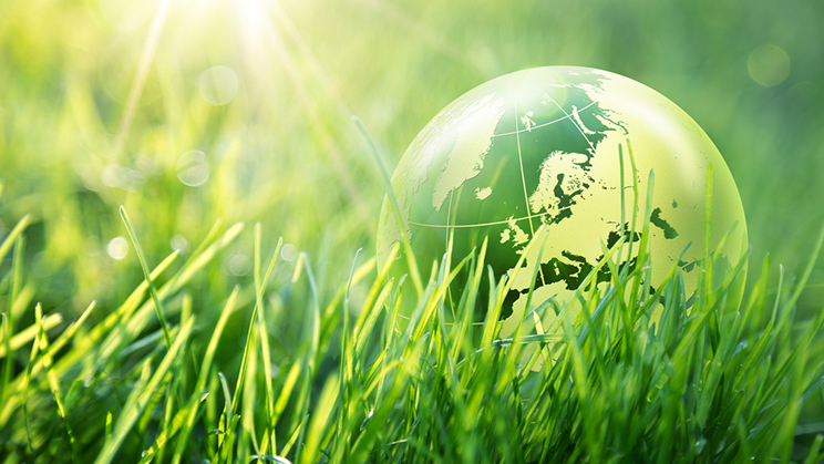 Responsabilidad medioambiental en las empresas