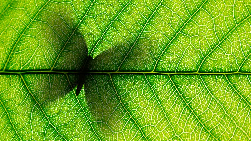 El efecto mariposa y la economía tras la I Guerra Mundial