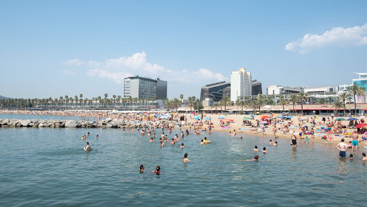 Guia per no contaminar quan anem a la platja