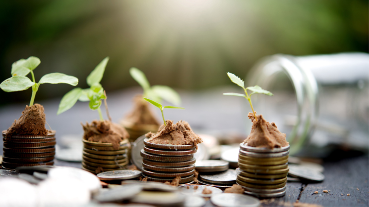 ¿Qué es la economía verde?