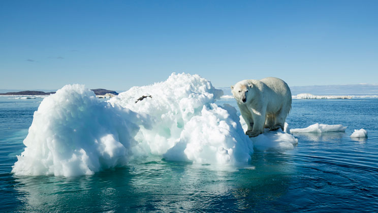 canvi climàtic, un repte global (amb una solució global)