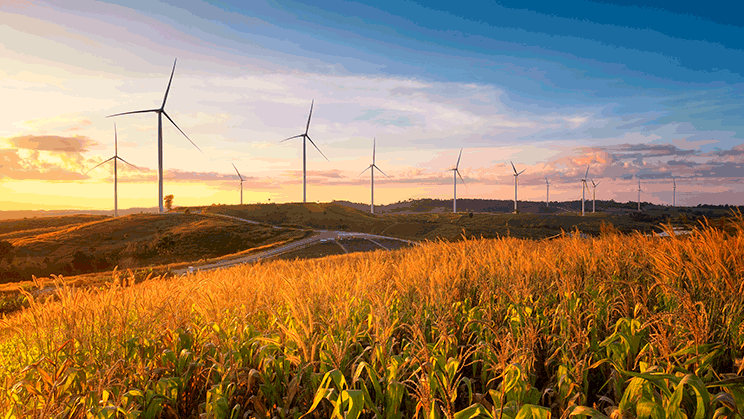 La inversión sostenible y responsable (ISR) incorpora criterios ambientales, sociales y de buen gobierno