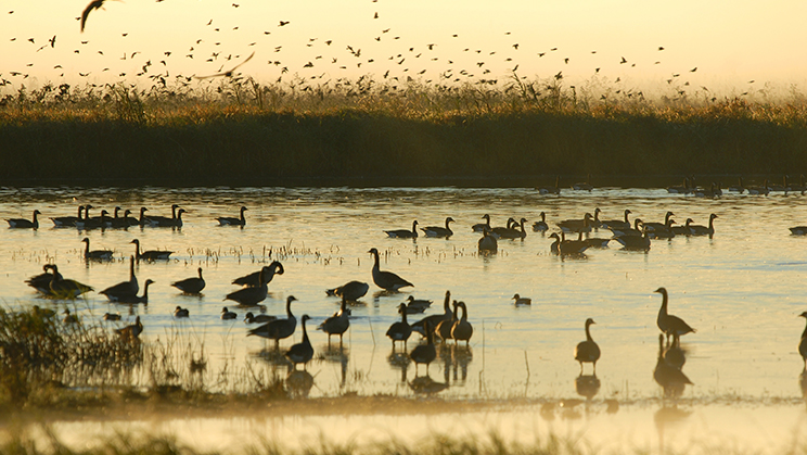 Aigua per frenar el canvi climàtic