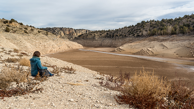 Desertificació: ha arribat l'hora de mirar al sòl