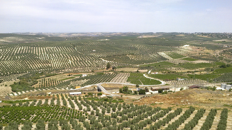 Ruta per perdre's núm. 2: de Lucena a Jaén