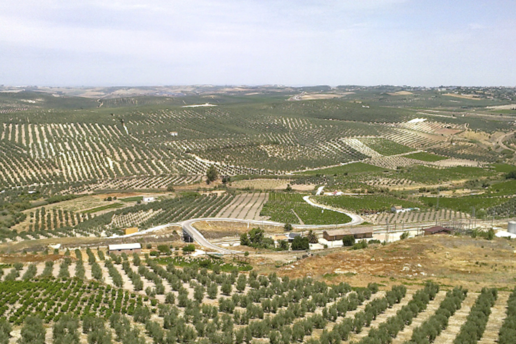 Ruta para perderse nº 2: de Lucena a Jaén