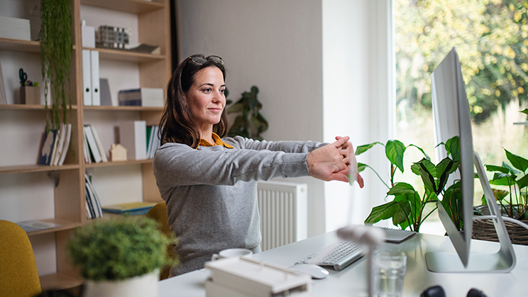 Biofilia: la naturaleza entra en tu casa
