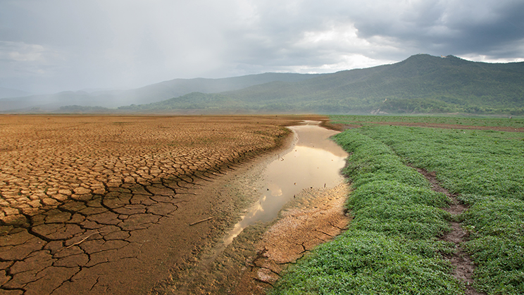 Cambio climático y pandemia: la conciencia verde se abre paso