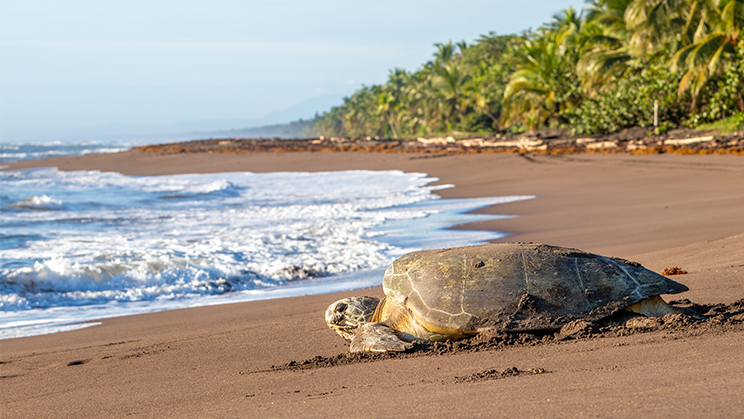 Plans per a un estiu solidari