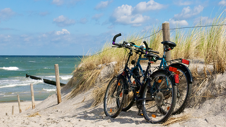 Tenir cura del medi ambient durant les vacances. Com i per què fer-ho