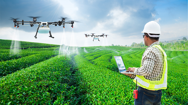 Fondos Next Generation: así será el PERTE agroalimentario