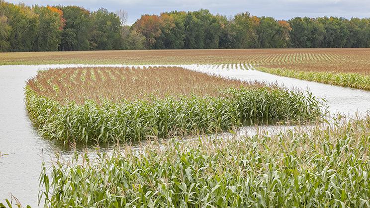 El impacto econ&oacute;mico del cambio clim&aacute;tico