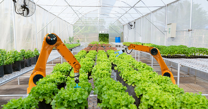 Reptes del sector agroalimentari