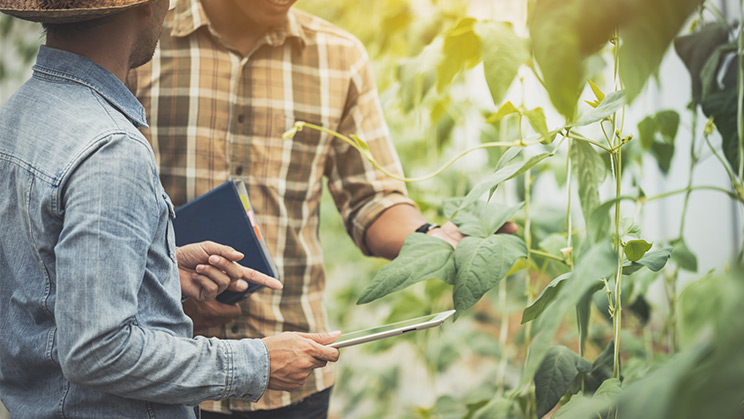 Vols frenar el canvi climàtic? Treballa pel medi ambient