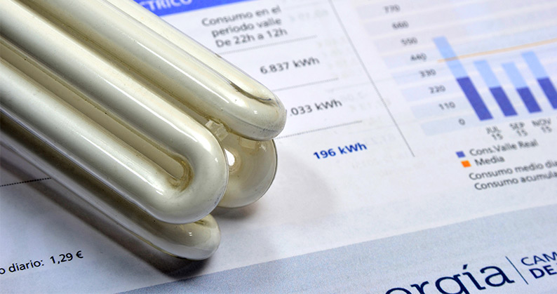 Cómo llevar tu empresa al cero neto, paso a paso