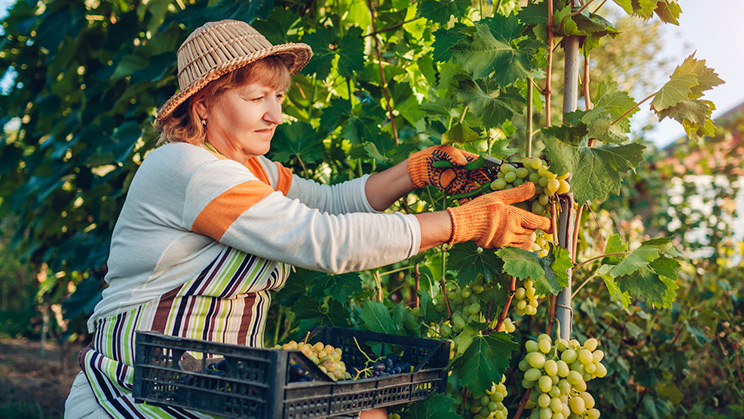 Brechas de género en el mundo rural