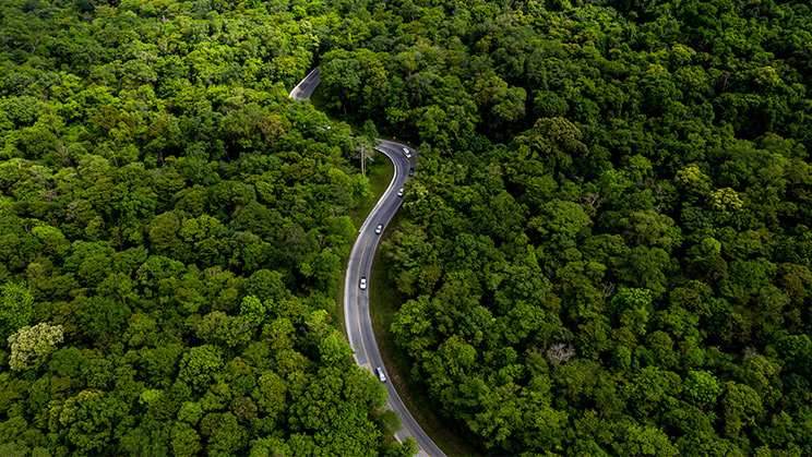 Captura de carboni: què és i com funciona