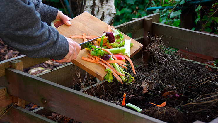 Compostatge a casa: com fer-lo en pocs passos