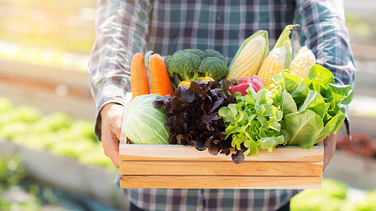 Exportaciones de alimentos de España primer semestre 2022