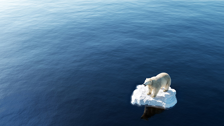 Què són els objectius de descarbonització?