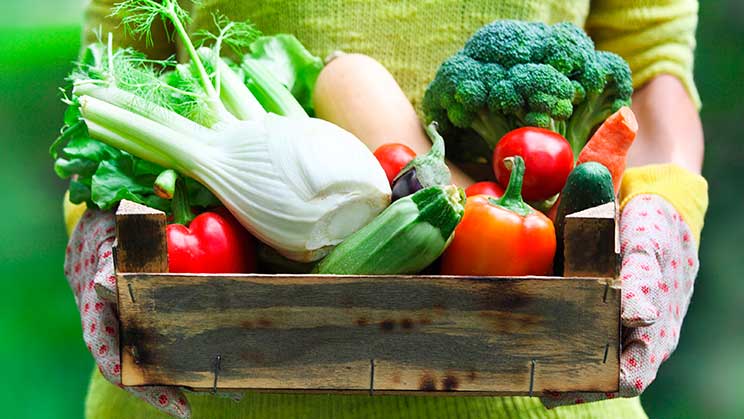 Alimentació sostenible per menjar sense danyar el planeta