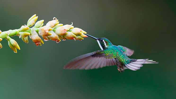 Cómo se mide el capital natural Capital natural: qué es y por qué debemos prestarle atención