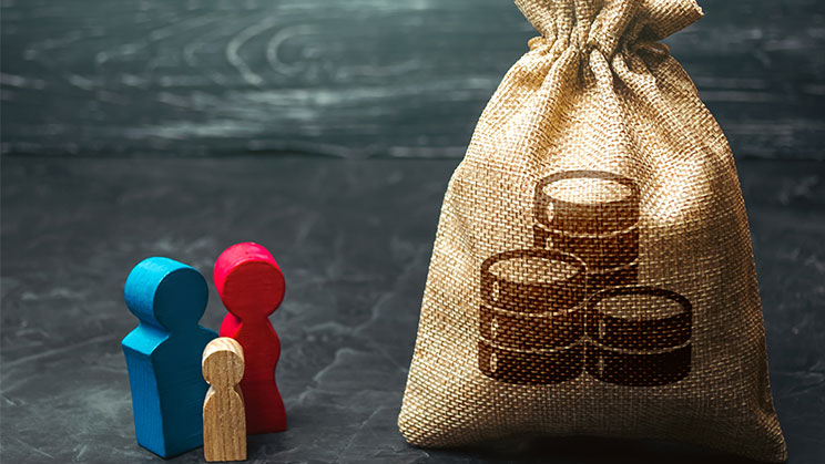 Cómo calcular la renta familiar per cápita para becas y ayudas