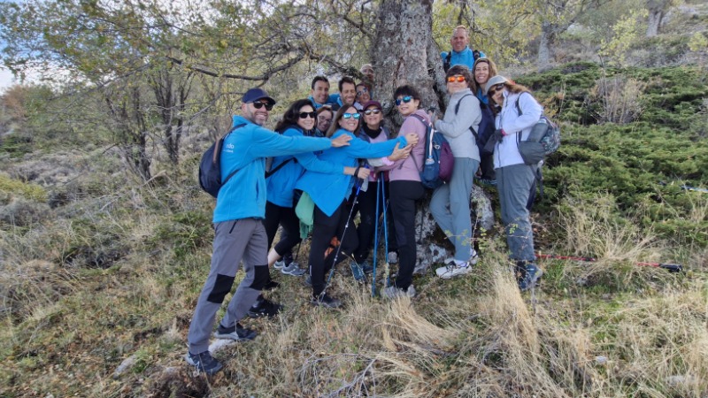 Voluntarios de CaixaBank en c&iacute;rculo, rodeando un &aacute;rbol, en la naturaleza
