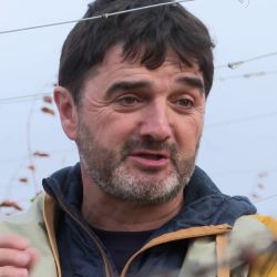 Retrato de Julián Palacios Muruzábal, autor (o autora) de la cita